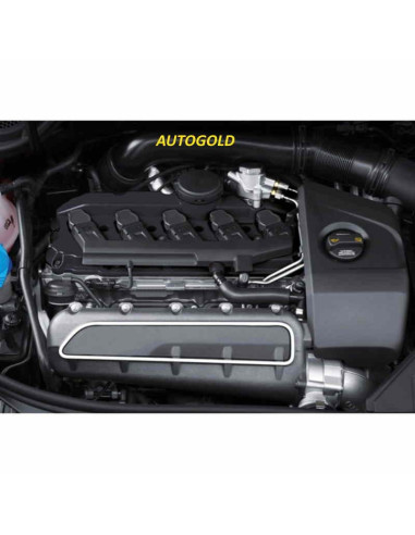 VERNICE NERO pinze freno - alta qualità professionale NERA