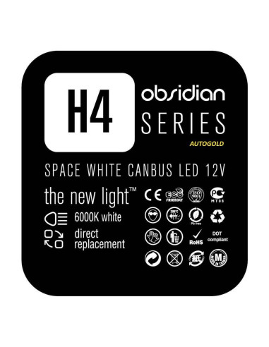 NOMURA H4 LED 6000K Obsidian Space CanBus - lampada alta luminosità