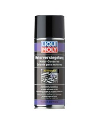 LIQUI MOLY 3327 Spray...