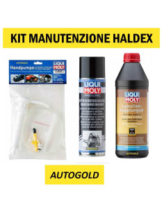 KIT LIQUI MOLY manutenzione olio frizione Haldex (3 prodotti)