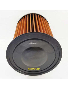 FORD C-Max II dal 2012 1.0 Ecoboost 100 125 CV - SPRINT FILTER filtro aria sportivo in Poliestere P08 (a secco) C442S