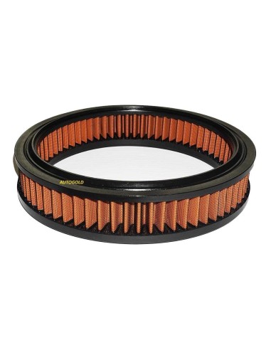 FIAT Seicento 1.1 54 CV (2001-2005) - SPRINT FILTER filtro aria sportivo in Poliestere P08 (a secco) C262S