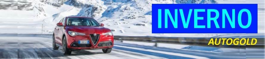 Articoli e additivi invernali per auto